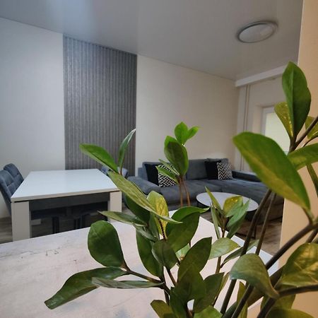 V15 Apartment Druskininkai Luaran gambar